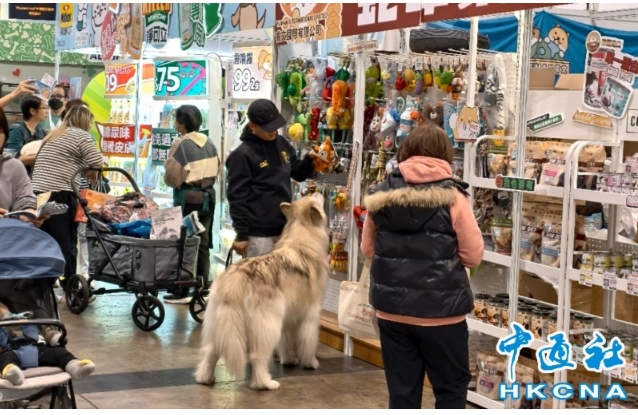 微信截图_20250207160718.png